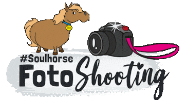 Camera Sticker by Soulhorse.de