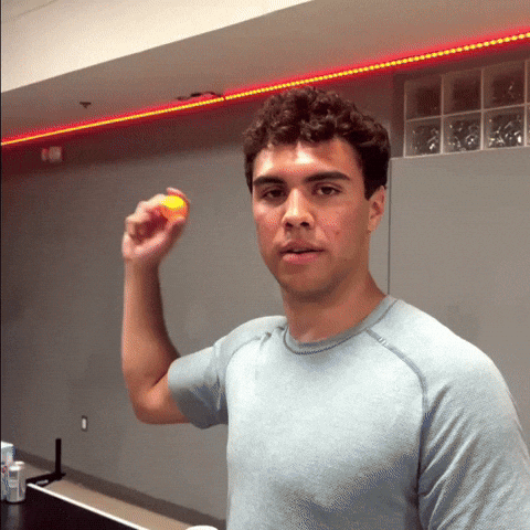 Pong Fraternity GIF