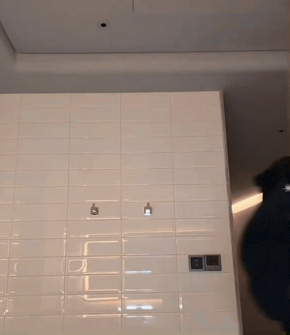 Xinlong GIF
