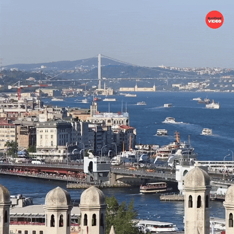 Turkey Istanbul GIF by BuzzFeed