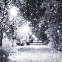 Snowflakes Falling Snowflakes Falling
