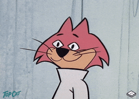 confused top cat GIF by Boomerang Official