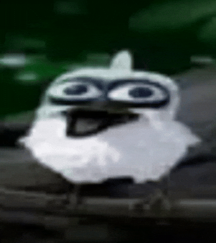 Loud Laugh Laughing Bird GIF