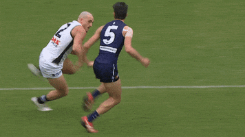 spp fend GIF by Port Adelaide FC