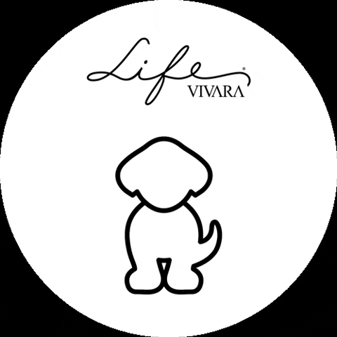 Dog GIF by Life By Vivara