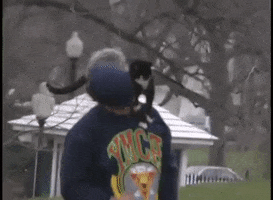 White House Cats GIF by US National Archives