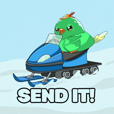 Lets Go Yolo GIF by Robbie