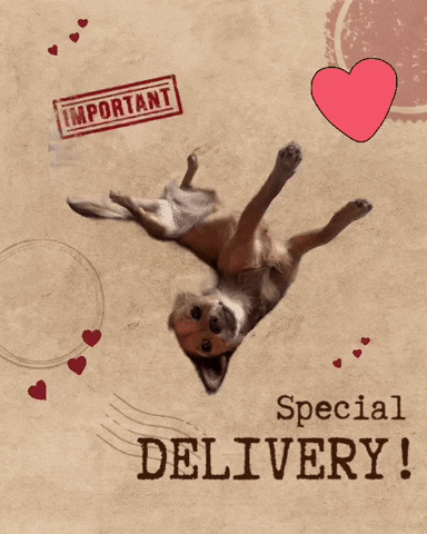 I Love You Happy Valentines Day GIF by Breathing Room