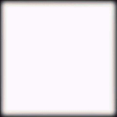 Brisbane Broncos Nrl GIF