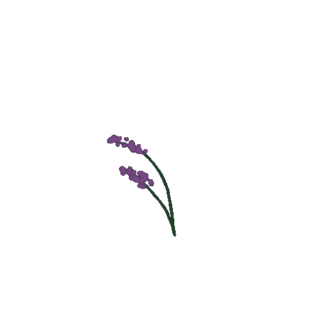 Flowers Plants Sticker