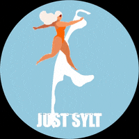 Sylt GIF by JustSylt