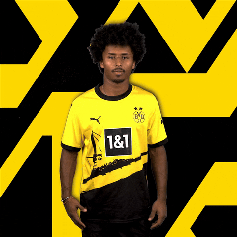 Adeyemi GIF by Borussia Dortmund