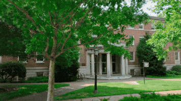 Education GIF