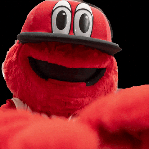 GIF by Chattanooga Lookouts