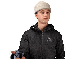 THE HEAT COMPANY Sticker