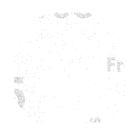 Forest Fsc Sticker by FSCFrance