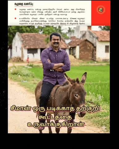 Dmk Ntk GIF