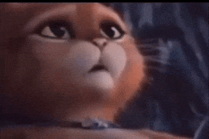 Cat GIF