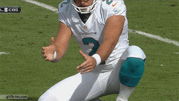 miami dolphins images GIF
