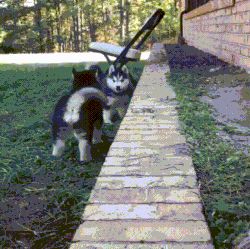 climb