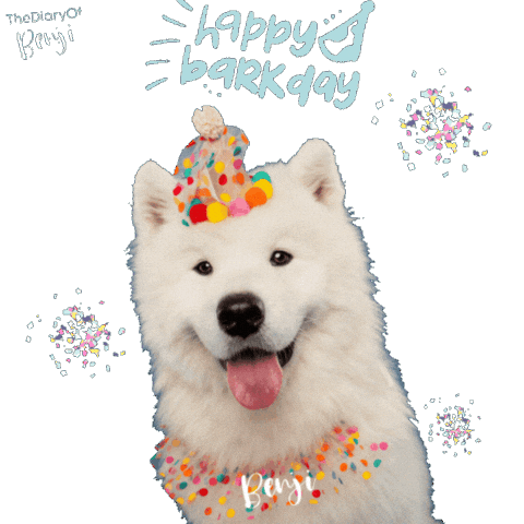 Happy Birthday Party Sticker