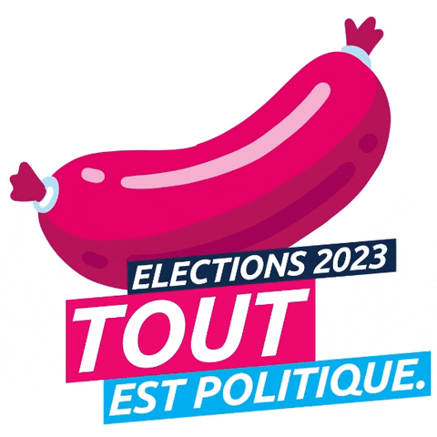 Elections GIF by easyvote