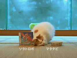 Jpcm GIF
