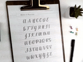 erlynpaz lettering abecedario brush lettering erlyn paz GIF