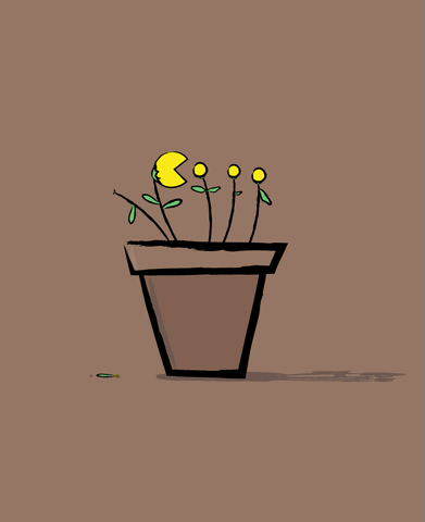 Hungry Flower Pot GIF by Sam Omo