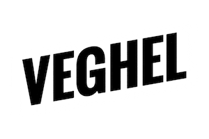 Veghel Sticker by Koning Willem I College
