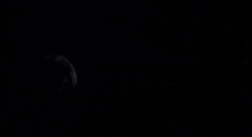 Friday The 13Th Horror GIF by Coolidge Corner Theatre