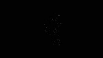 Merametaxromata GIF