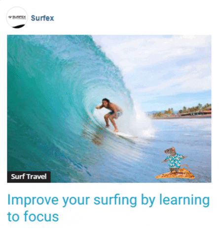 troywakelin surfing focus direction surfingtips GIF