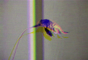 Flower GIF