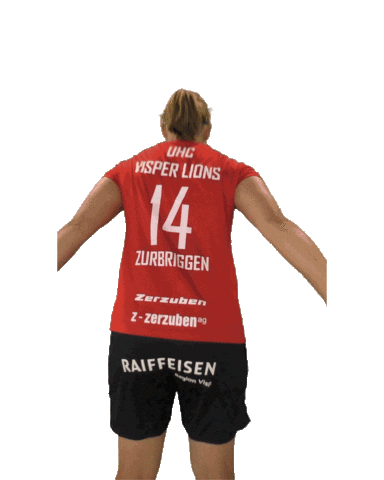 UHC Visper Lions Sticker