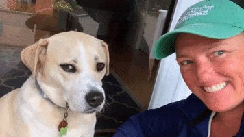 Lacrosse GIF by Endicott Athletics