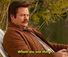 Ron Swanson Love This Country America GIFs - Find & Share on GIPHY