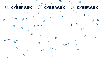Party Fireworks Sticker by CyberArk