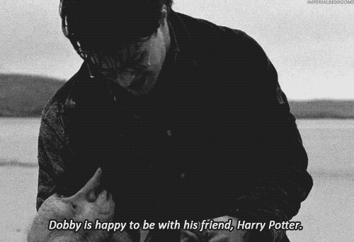 daniel radcliffe