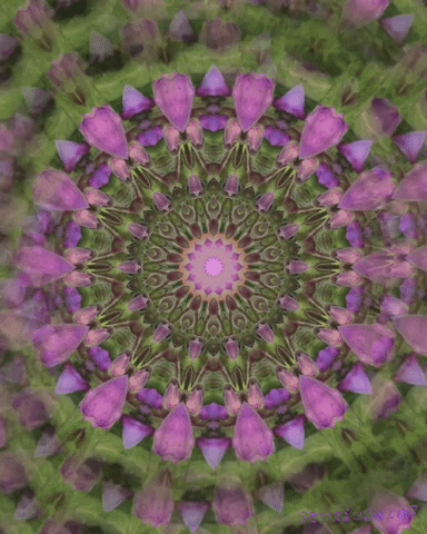 Kaleidoscope GIF