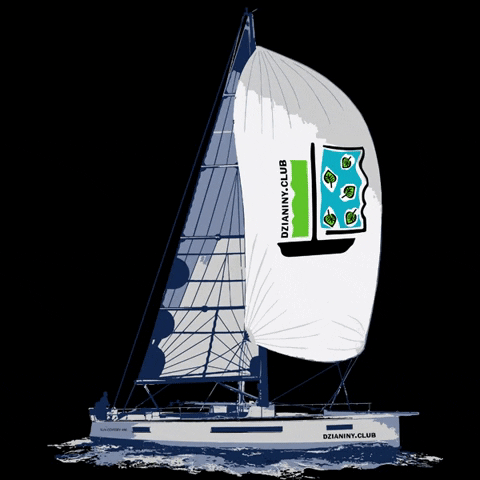 Sailing Team GIF by jakubwendler