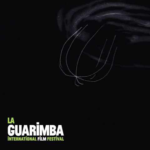 Gordon Ramsay Cooking GIF by La Guarimba Film Festival