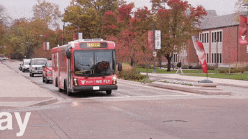Driving Lets Go GIF by Ball State University