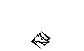 Pinnacleperformance Sticker