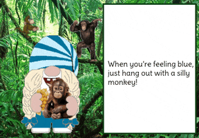 Monkey Gnome GIF