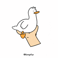 Flying-duck GIFs - Get the best GIF on GIPHY