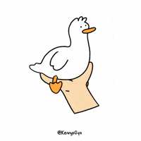 Flying-duck GIFs - Get the best GIF on GIPHY Flying-duck GIFs - Get the best GIF on GIPHY