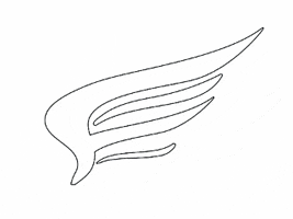 Flight Center Instituto de aviación GIF