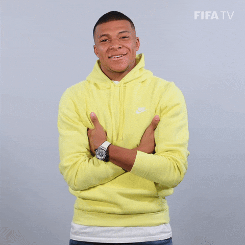 Celebrate France GIF by FIFA