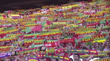 Portugal National Football Team GIF by UEFA